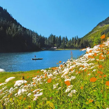Alpen Zauchensee Altenmarkt Osb02083 Dyb * אלטנמרקט אים פונגאו